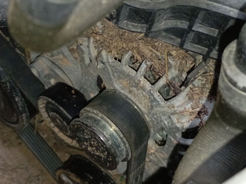 Recambio de alternador para volkswagen t-cross (c11, d31) 1.0 tsi referencia OEM IAM   