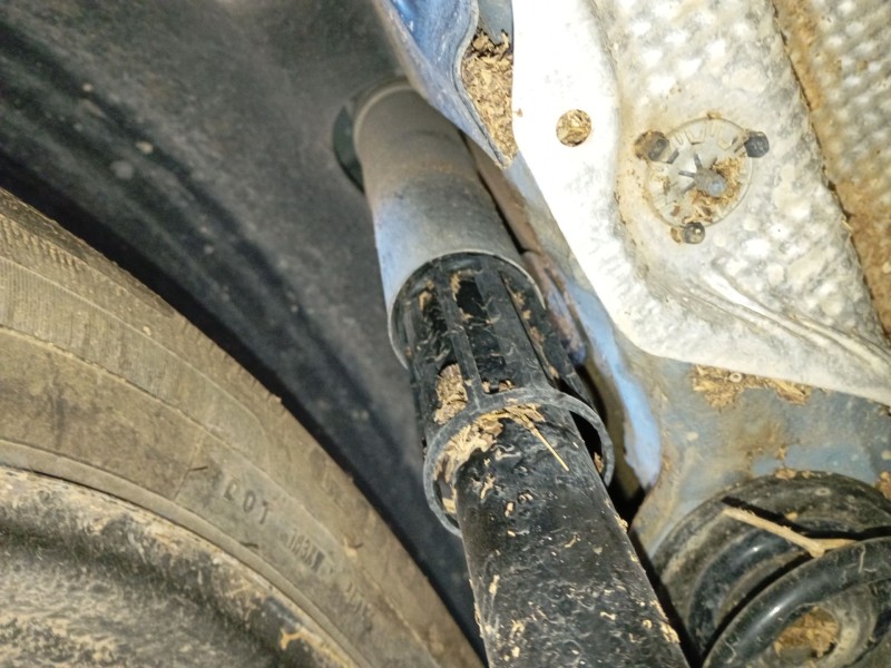 Recambio de amortiguador trasero izquierdo para volkswagen t-cross (c11, d31) 1.0 tsi referencia OEM IAM   