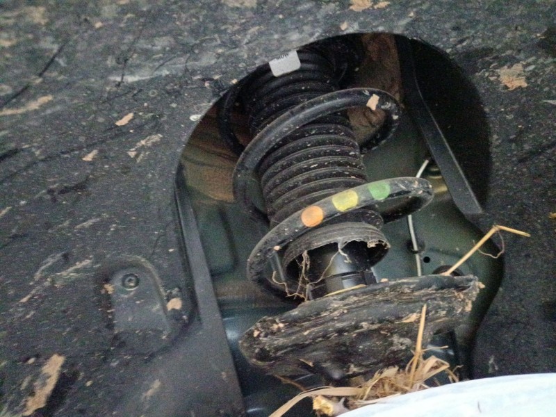 Recambio de amortiguador delantero izquierdo para volkswagen t-roc (a11, d11) 1.5 tsi referencia OEM IAM   