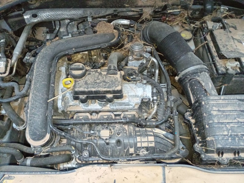 volkswagen t-roc (a11, d11) del año 2024