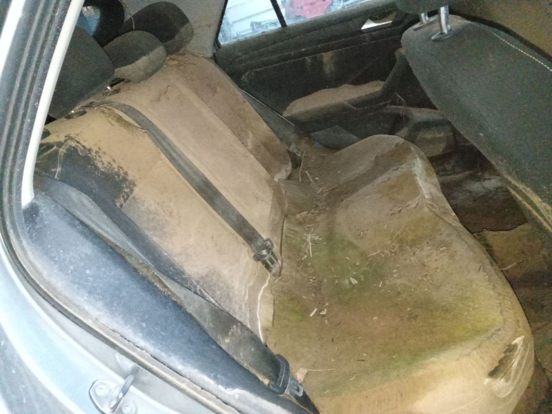 volkswagen t-roc (a11, d11) del año 2024