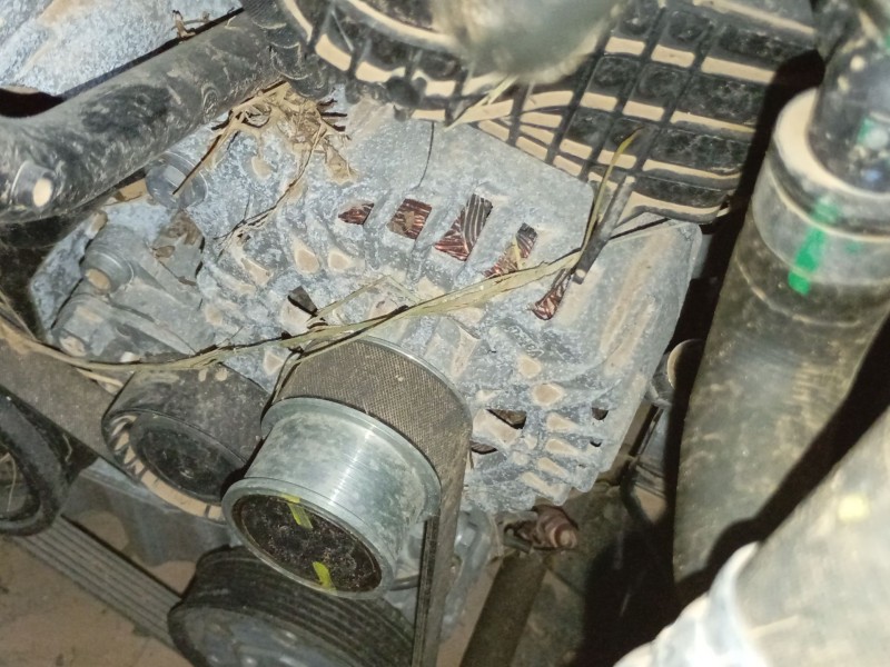 Recambio de alternador para volkswagen t-roc (a11, d11) 1.0 tsi referencia OEM IAM   