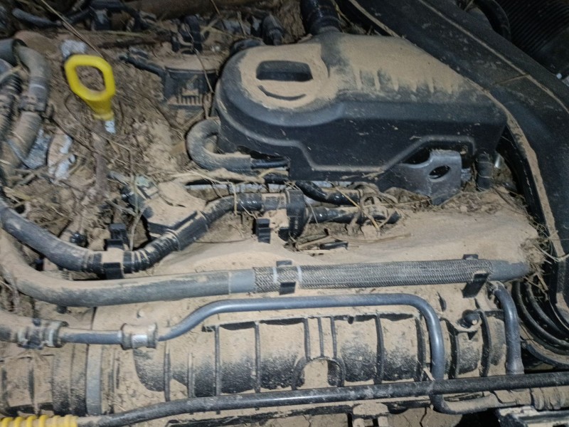 volkswagen t-roc (a11, d11) del año 2024