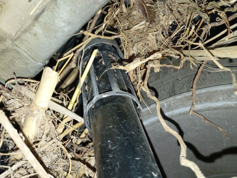 Recambio de amortiguador trasero derecho para volkswagen t-roc (a11, d11) 1.0 tsi referencia OEM IAM   