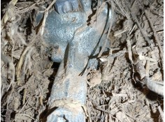 PINZA FRENO DELANTERA IZQUIERDA 