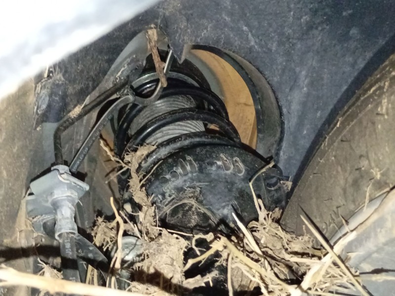 Recambio de amortiguador delantero derecho para volkswagen t-roc (a11, d11) 1.0 tsi referencia OEM IAM   