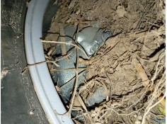 Recambio de pinza freno delantera derecha para volkswagen t-roc (a11, d11) 1.0 tsi referencia OEM IAM   