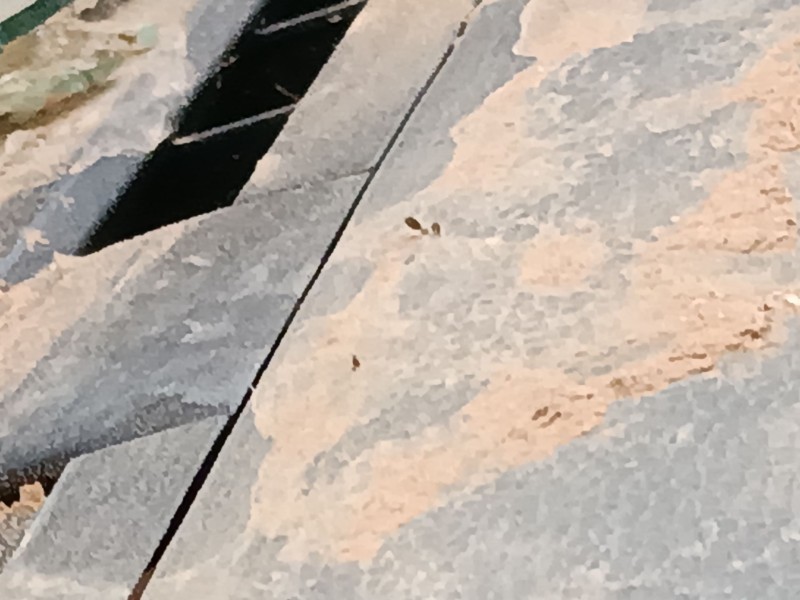 Recambio de salpicadero para volkswagen t-roc (a11, d11) 1.5 tsi referencia OEM IAM   