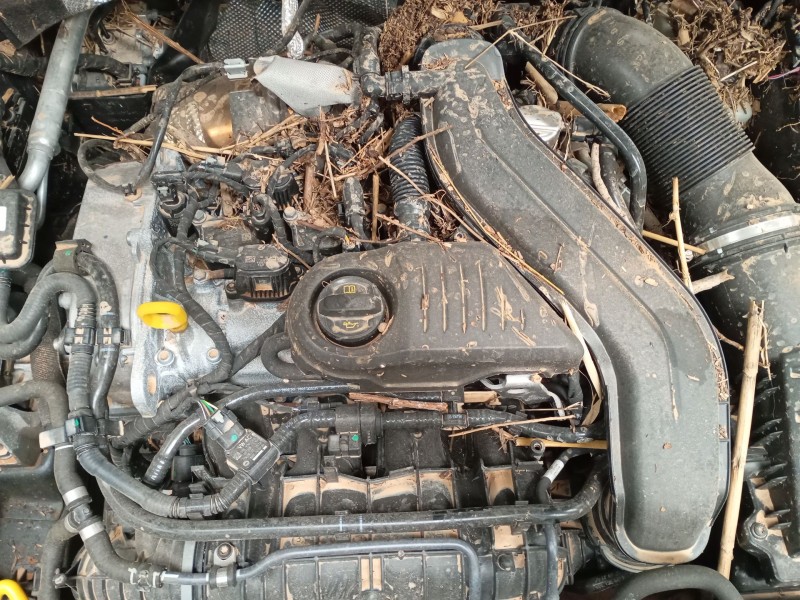 volkswagen t-roc (a11, d11) del año 2024