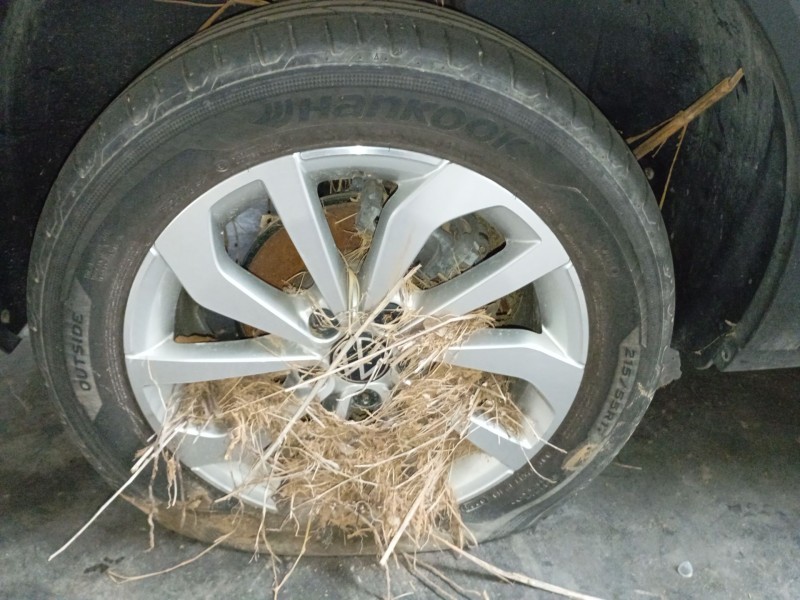 Recambio de llanta sin neumatico para volkswagen t-roc (a11, d11) 1.0 tsi referencia OEM IAM   