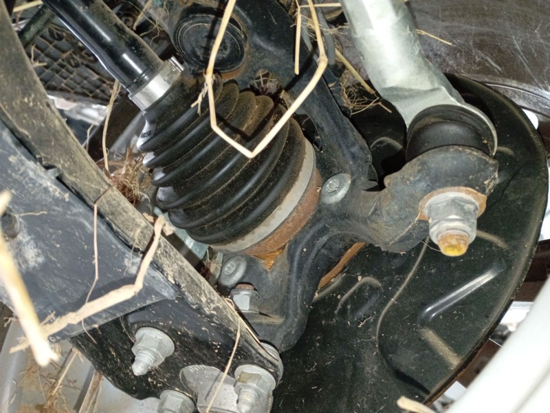 Recambio de mangueta delantera derecha para volkswagen t-roc (a11, d11) 1.5 tsi referencia OEM IAM   