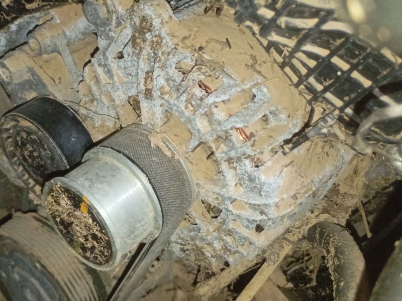 Recambio de alternador para volkswagen t-roc (a11, d11) 1.0 tsi referencia OEM IAM   