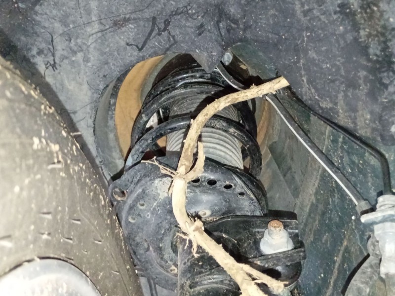 Recambio de amortiguador delantero izquierdo para volkswagen t-roc (a11, d11) 1.0 tsi referencia OEM IAM   