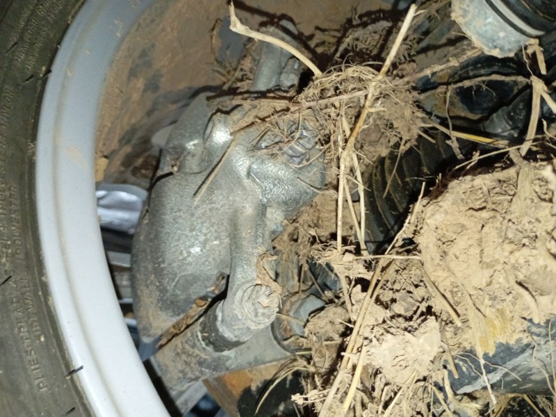 Recambio de pinza freno delantera derecha para volkswagen t-roc (a11, d11) 1.0 tsi referencia OEM IAM   