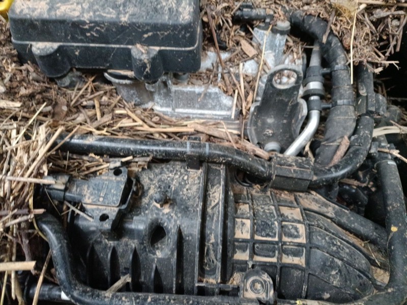 volkswagen t-roc (a11, d11) del año 2024