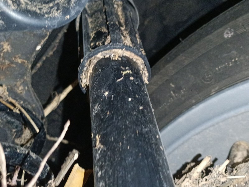 Recambio de amortiguador trasero derecho para volkswagen taigo (cs1) 1.0 tsi referencia OEM IAM   