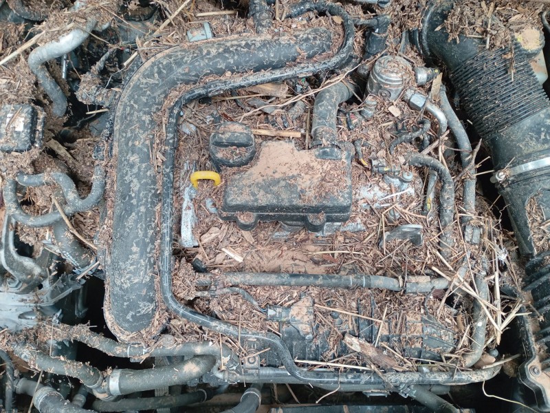 volkswagen taigo (cs1) del año 2024