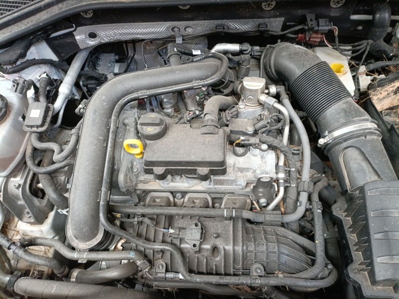 volkswagen t-roc (a11, d11) del año 2024