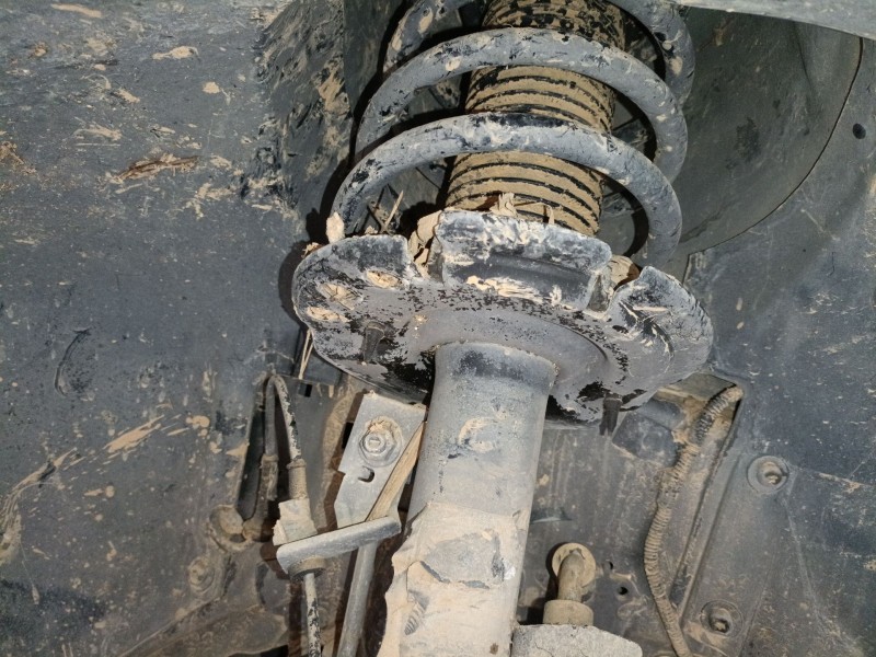 Recambio de amortiguador delantero derecho para ford focus iii 1.5 tdci referencia OEM IAM   