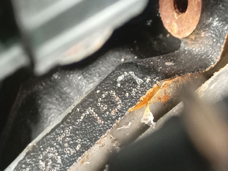 Recambio de motor completo para audi q5 (8rb) 2.0 tdi quattro referencia OEM IAM CGL  