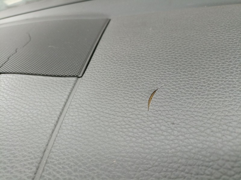 Recambio de kit airbag para volkswagen touareg (7la, 7l6, 7l7) 2.5 r5 tdi referencia OEM IAM   