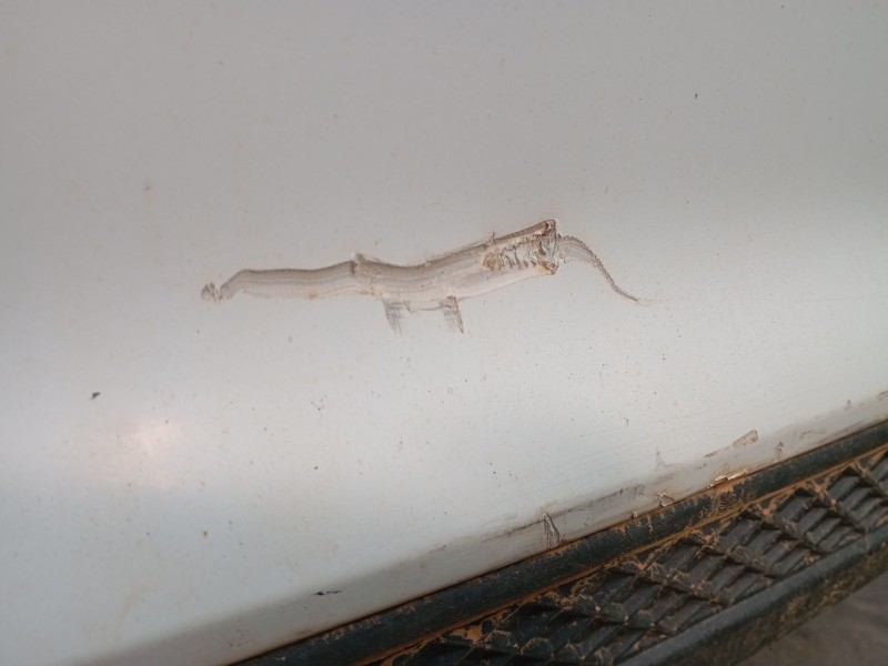 Recambio de paragolpes trasero para ford focus iii 1.6 tdci referencia OEM IAM   