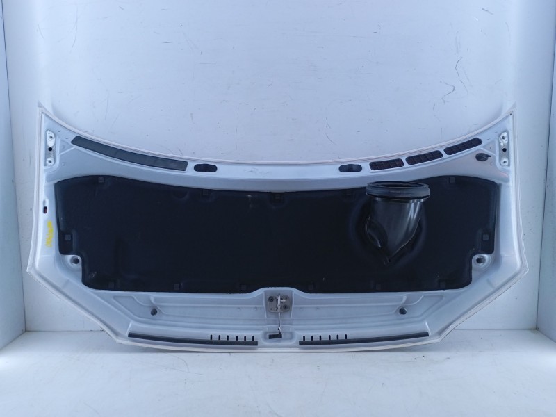 Recambio de capot para volkswagen crafter furgoneta (sy_, sx_) 2.0 tdi referencia OEM IAM   