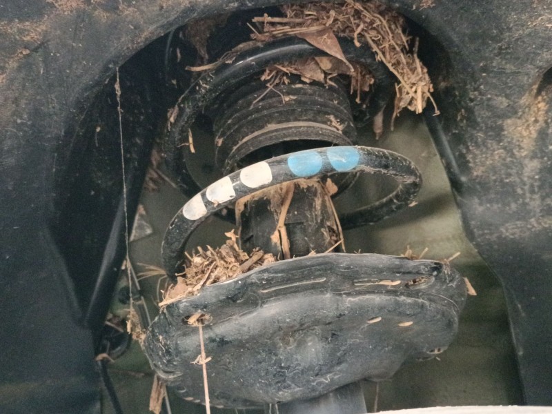 Recambio de amortiguador delantero derecho para volkswagen taigo (cs1) 1.0 tsi referencia OEM IAM   