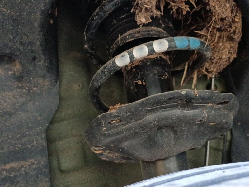 Recambio de amortiguador delantero izquierdo para volkswagen taigo (cs1) 1.0 tsi referencia OEM IAM   