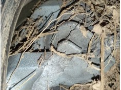 PINZA FRENO DELANTERA DERECHA 