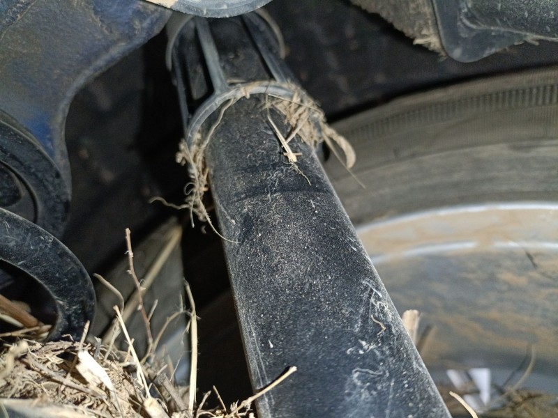 Recambio de amortiguador trasero derecho para volkswagen taigo (cs1) 1.0 tsi referencia OEM IAM   