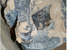 PINZA FRENO DELANTERA DERECHA 