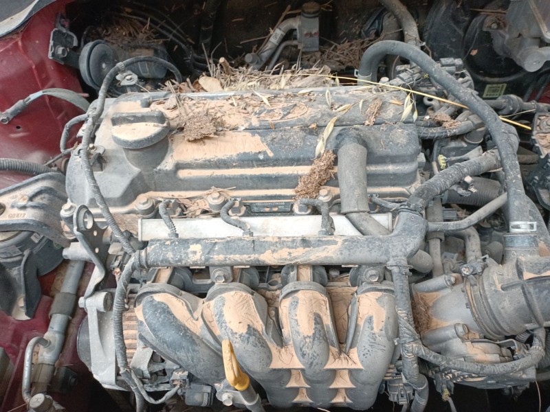 hyundai i20 ii (gb, ib) del año 2016