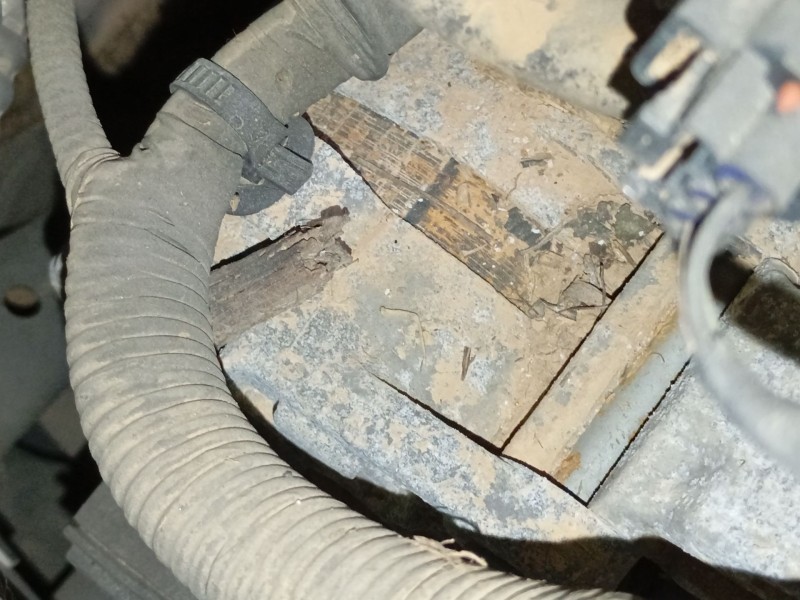 Recambio de alternador para kia cee´d (jd) 1.6 crdi 128 referencia OEM IAM   