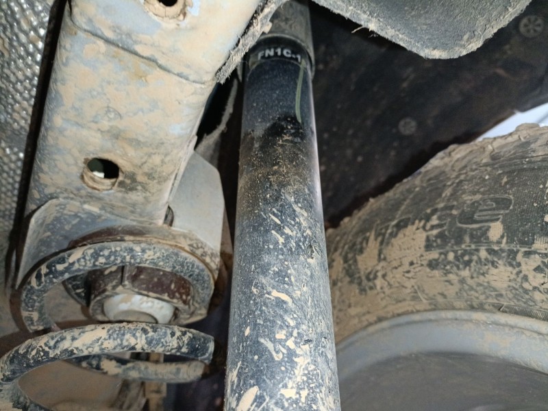 Recambio de amortiguador trasero derecho para ford ecosport 1.5 ti referencia OEM IAM   