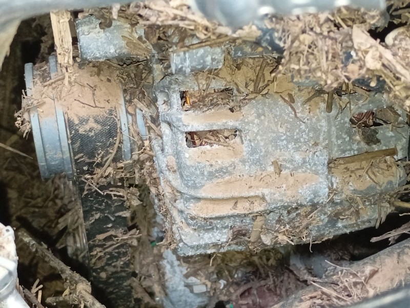 Recambio de alternador para volkswagen caddy v furgoneta/monovolumen (sba, sbh) 2.0 tdi bmt referencia OEM IAM   