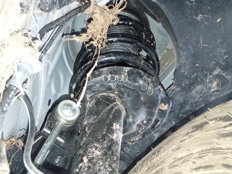 Recambio de amortiguador delantero derecho para volkswagen caddy v furgoneta/monovolumen (sba, sbh) 2.0 tdi bmt referencia OEM I