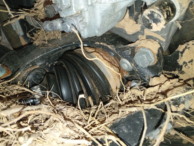 Recambio de mangueta delantera izquierda para volkswagen caddy v furgoneta/monovolumen (sba, sbh) 2.0 tdi bmt referencia OEM IAM