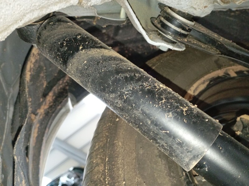 Recambio de amortiguador trasero derecho para volkswagen caddy v furgoneta/monovolumen (sba, sbh) 2.0 tdi bmt referencia OEM IAM