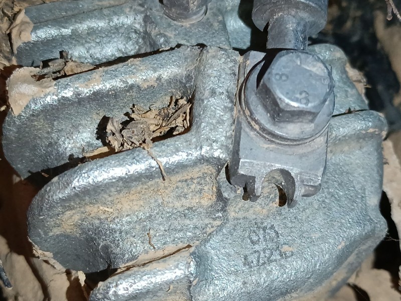 Recambio de pinza freno delantera derecha para volkswagen caddy v furgoneta/monovolumen (sba, sbh) 2.0 tdi bmt referencia OEM IA