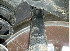 Recambio de amortiguador trasero derecho para skoda scala (nw1) 1.0 tsi referencia OEM IAM   