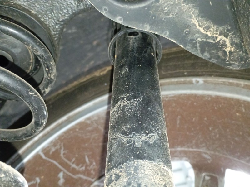 Recambio de amortiguador trasero derecho para skoda scala (nw1) 1.0 tsi referencia OEM IAM   