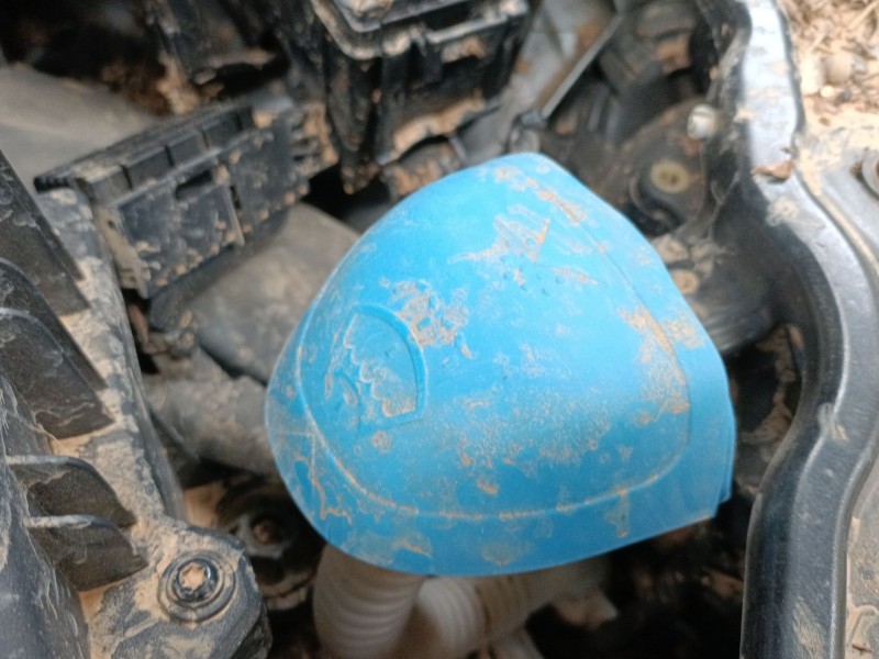 Recambio de deposito limpia para skoda scala (nw1) 1.0 tsi referencia OEM IAM   