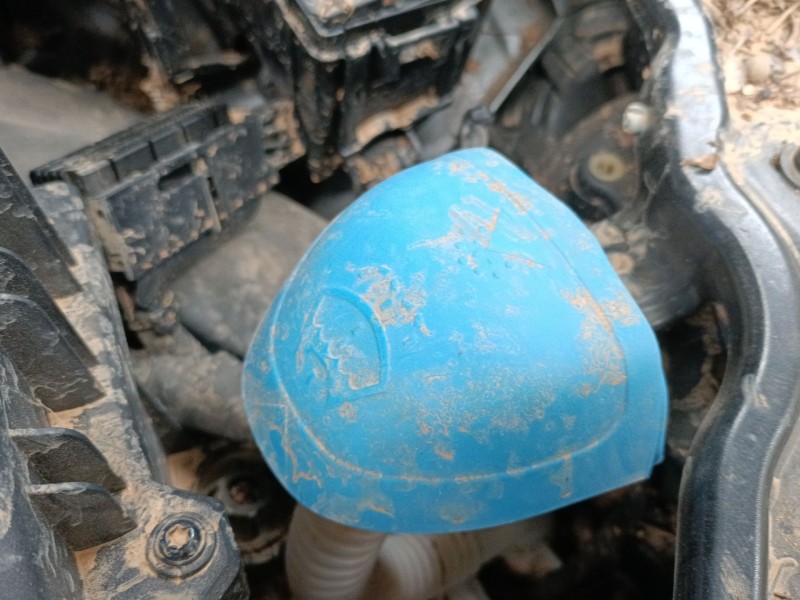 Recambio de deposito limpia para skoda scala (nw1) 1.0 tsi referencia OEM IAM   