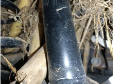 Recambio de amortiguador trasero derecho para skoda scala (nw1) 1.0 tsi referencia OEM IAM   