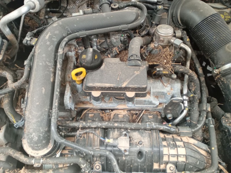 skoda kamiq (nw4) del año 2024