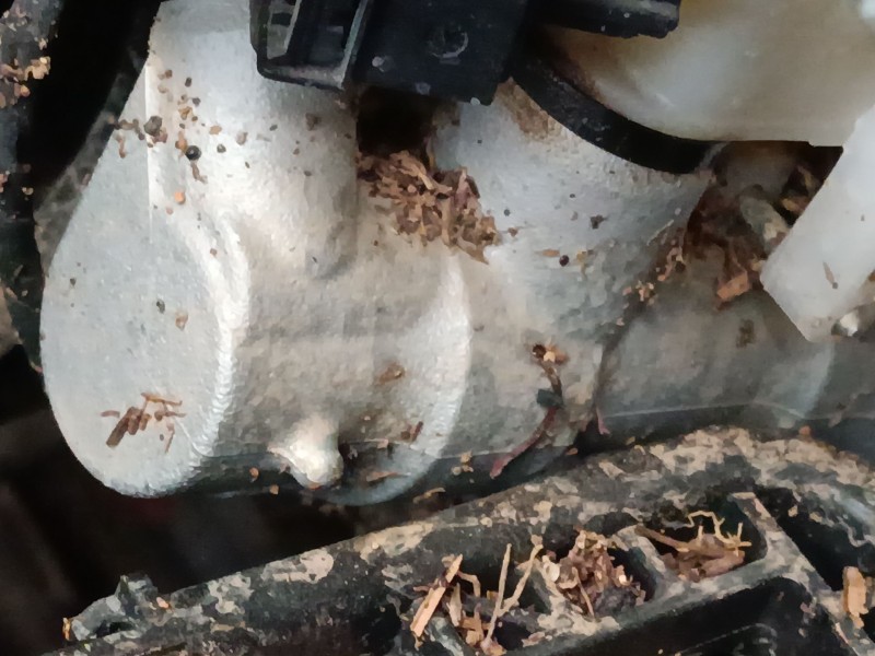 Recambio de bomba freno para volkswagen t-cross (c11, d31) 1.0 tsi referencia OEM IAM   