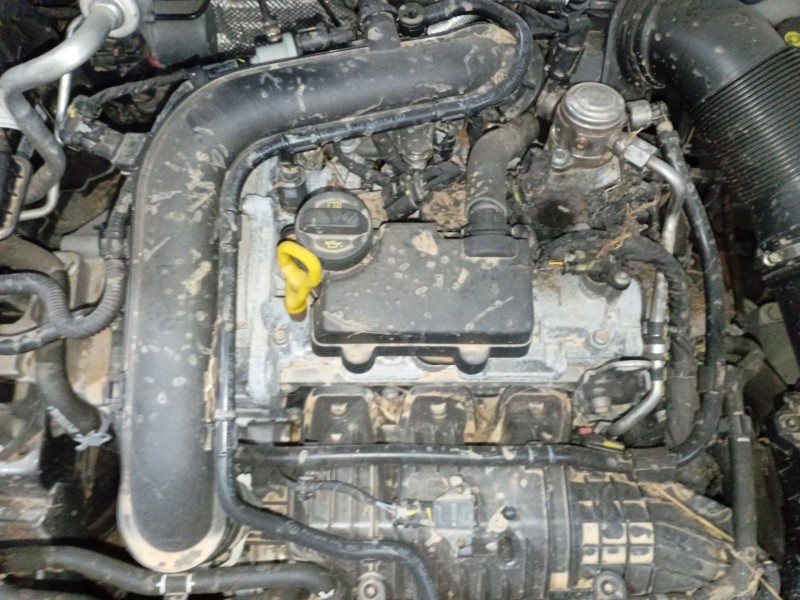 skoda kamiq (nw4) del año 2024