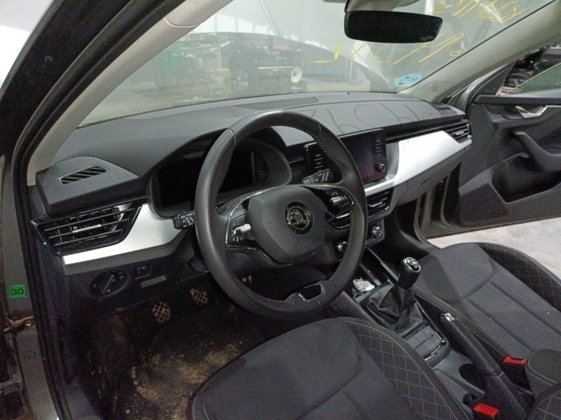 skoda kamiq (nw4) del año 2024