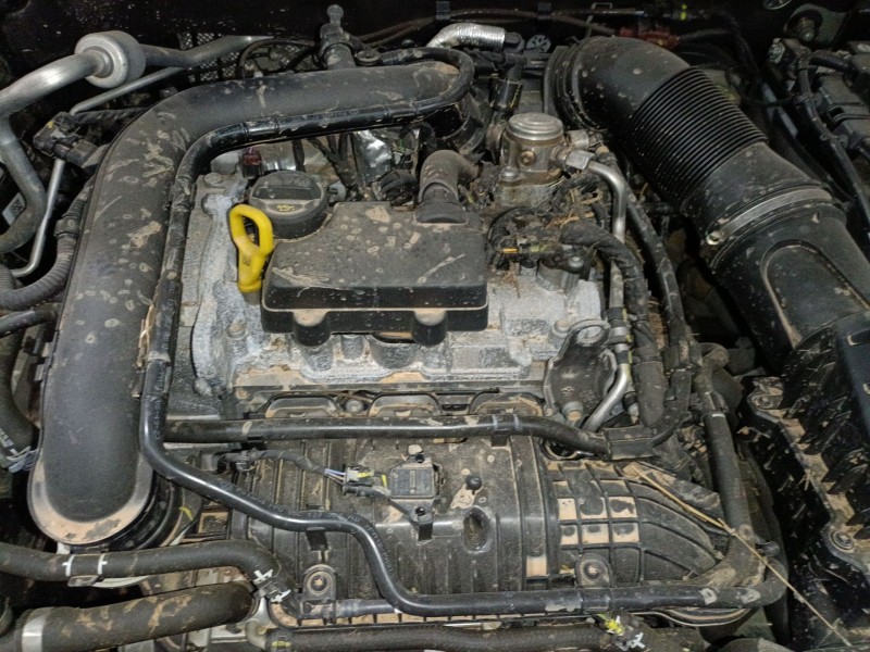 skoda kamiq (nw4) del año 2024